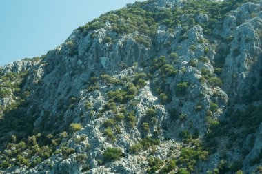 Büyümüş dağ arka planı