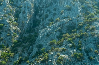 Büyümüş dağ arka planı