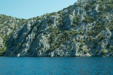 Dağ ve deniz. Orman ve kaya arka plan ile kıyı şeridi