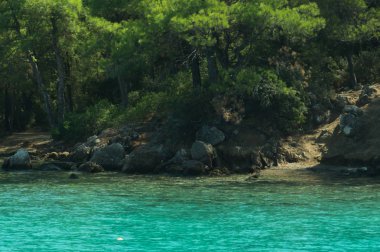 Dağ ve deniz. Orman ve kaya arka plan ile kıyı şeridi