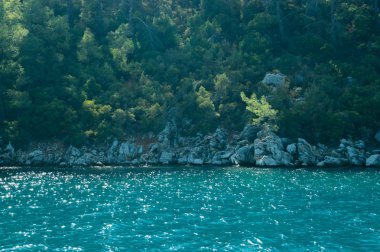 Dağ ve deniz. Orman ve kaya arka plan ile kıyı şeridi