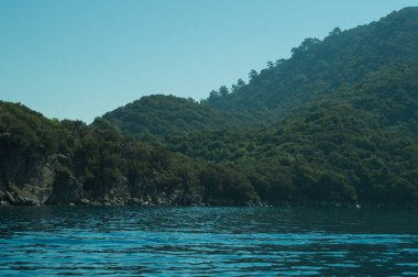Dağ ve deniz. Orman ve kaya arka plan ile kıyı şeridi