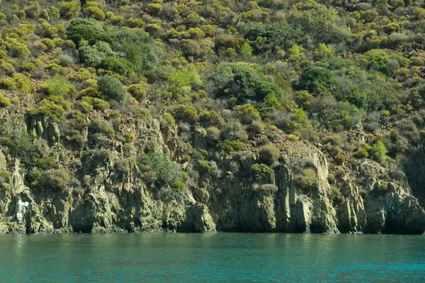 Dağ ve deniz. Orman ve kaya arka plan ile kıyı şeridi