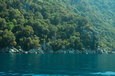 Dağ ve deniz. Orman ve kaya arka plan ile kıyı şeridi