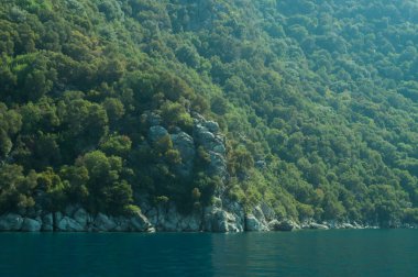 Dağ ve deniz. Orman ve kaya arka plan ile kıyı şeridi