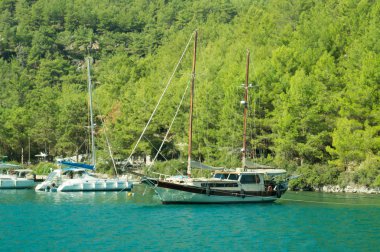 Bir dağ ve ormanın kıyısına yakın teknede rekreasyon. Gemiye koy. yaz tatil seyahat
