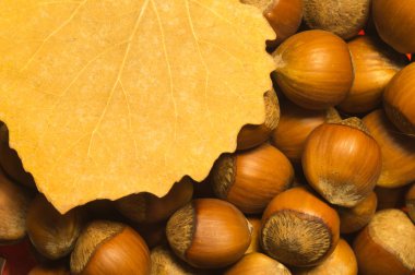 Sonbahar yaprağı ve fındık makro arka plan