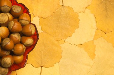 Sonbahar yaprakları ile fındık arka plan