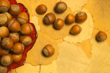 Sonbahar yaprakları ile fındık