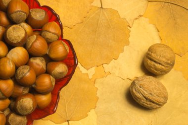 Sonbahar yaprakları ile fındık ve ceviz