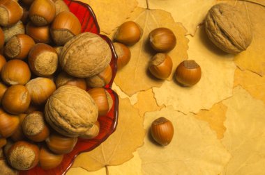 Sonbahar yaprakları ile fındık ve ceviz