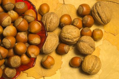 Sonbahar yaprakları ile fındık ve ceviz