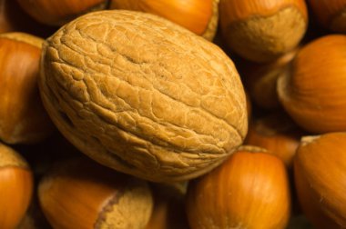 Ceviz ve fındık arka planı