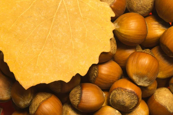 Sonbahar yaprağı ve fındık makro arka plan