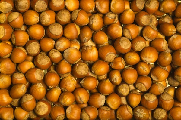 Fındık. Fındık. Fındık makro. Gıda arka plan