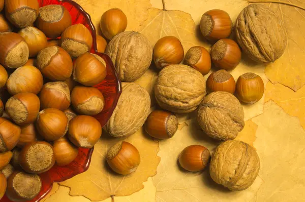 Sonbahar yaprakları ile fındık ve ceviz