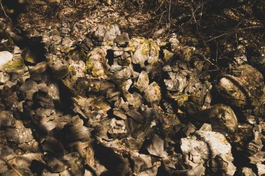 ormanda küçük taş taretler. taş heykeller