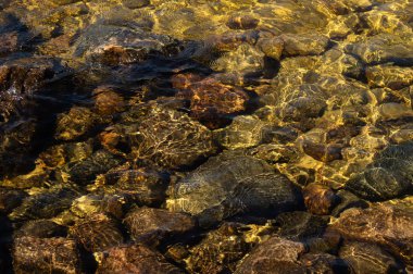 Parlak şeffaf su. alt çakıl ve taş ile berrak su. güneş ışınları ve su üzerinde dalgalanmalar parlayan yansımaları