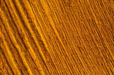 Ahşap doku. kaba ahşap makro arka plan