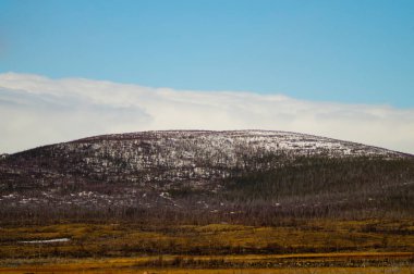 Dağ manzarası arka planı. karlı tepeler ve orman