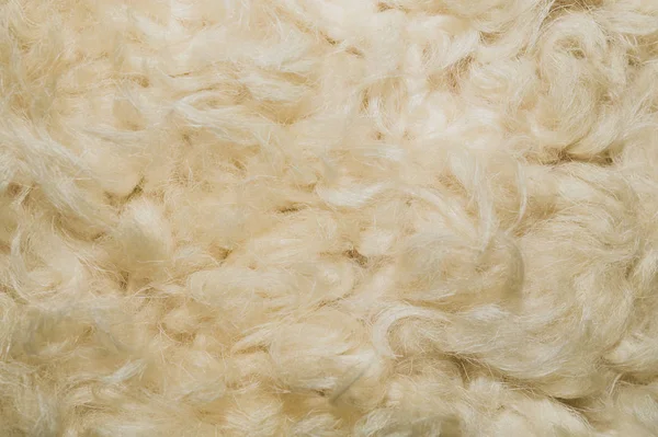 White shaggy fur texture background. beige wool