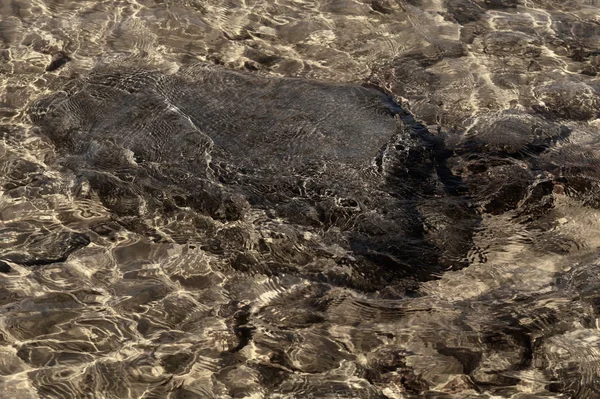 Блискуча прозора вода. чиста вода з галькою і каменем на дні. сяючі відображення сонячних променів і брижі на воді — стокове фото