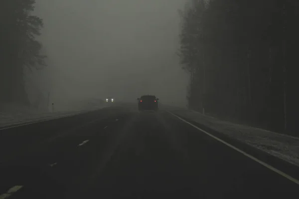 Car moving in snowstorm through the forest. car rides on a winter snowy road in cloudy weather