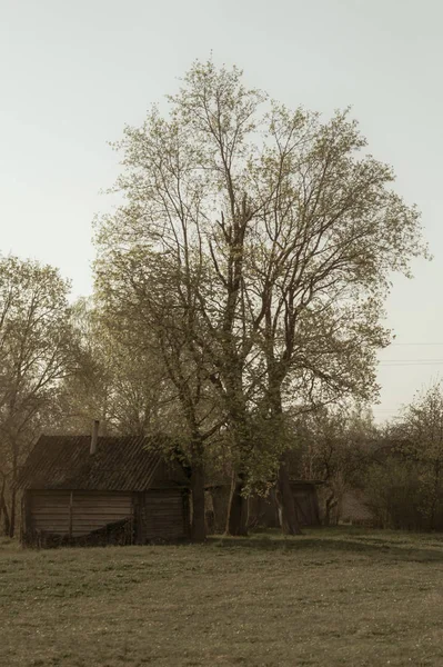 Traditionella trähus i den naturliga miljön scenen — Stockfoto