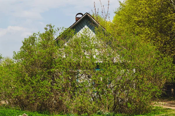 Overgrown fachada de la casa en el campo — Foto de Stock