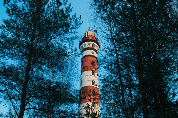 Маяк у лісі між деревами. червоно-білий маяк — стокове фото