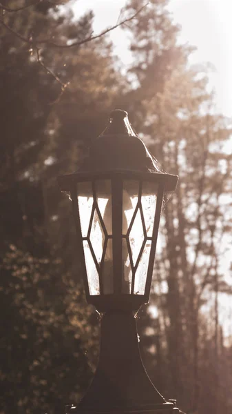 Retro straat lamp bij zonsondergang. Vintage lantaarn 's avonds licht — Stockfoto