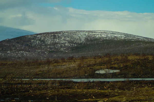 山の風景の背景。雪の丘と森 — ストック写真