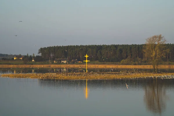 Pequena ilha com a cruz e muitos pássaros — Fotografia de Stock