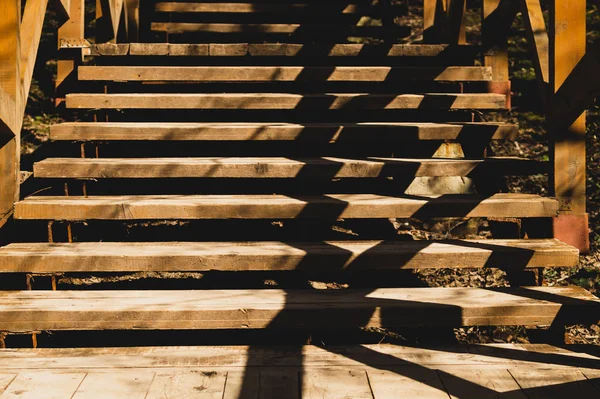 Holztreppe im Park. Treppen aus Holz im Wald — Stockfoto