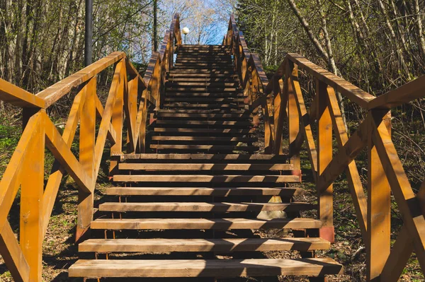 Scala in legno nel parco. scale fatte dal legno nella foresta — Foto Stock