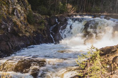 Şelale arka plan. acele dere suyu. kayalık akan nehir