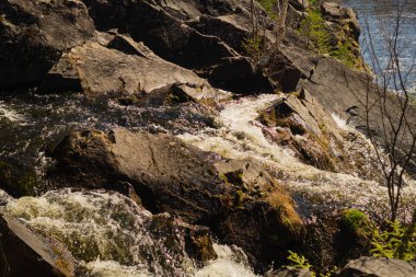 Şelale arka plan. acele dere suyu. kayalık akan nehir