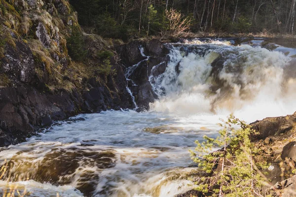 Şelale arka plan. acele dere suyu. kayalık akan nehir