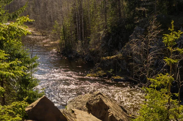 Río rocoso en el bosque. agua corriente —  Fotos de Stock