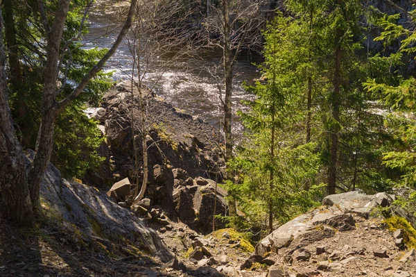 Rivière rocheuse dans la forêt. eau courante — Photo