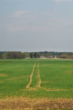 Geniş alan ve gökyüzü doğa manzara arka plan