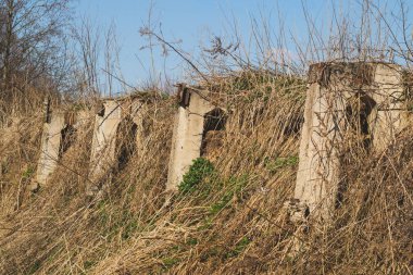 Ormanda aşırı büyümüş harabeler. eski terk edilmiş inşaat