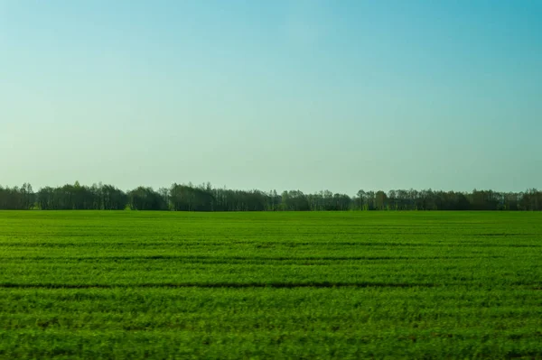 Wide field and the sky nature landscape background — Stock Photo, Image