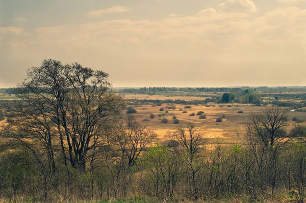 Naturaleza vista panorámica del paisaje desde lo alto. campo con plantas y árboles naturaleza fondo —  Fotos de Stock