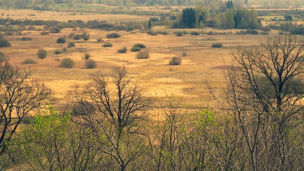 Naturaleza vista panorámica del paisaje desde lo alto. campo con plantas y árboles naturaleza fondo —  Fotos de Stock