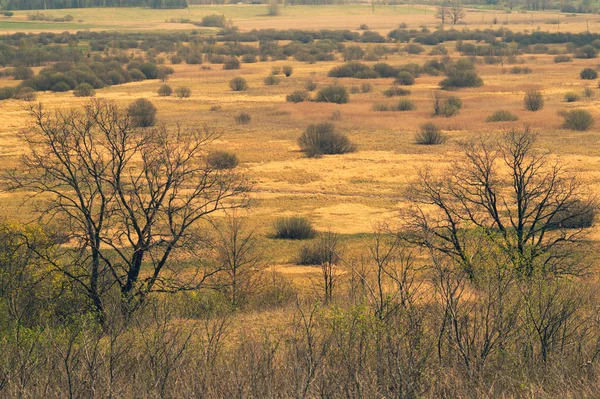 Naturaleza vista panorámica del paisaje desde lo alto. campo con plantas y árboles naturaleza fondo —  Fotos de Stock