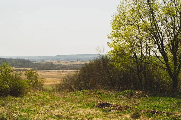 Přírodní panoramatický výhled z výšky. pole se základními rostlinami a stromy — Stock fotografie