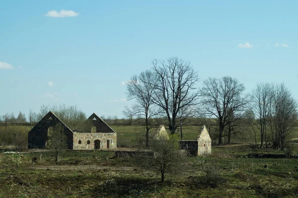 Oude verlaten gebouw in het bos. geruïneerde Koeienstal — Stockfoto