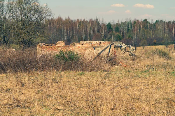 Ormanda terk edilmiş eski bir bina. harap cowshed — Stok fotoğraf