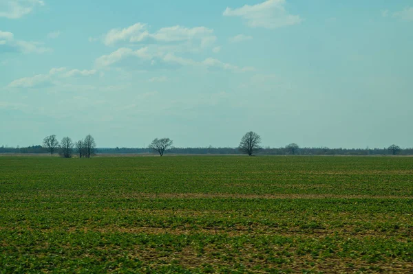 Mező és az ég természeti táj háttér. horizonthoz — Stock Fotó
